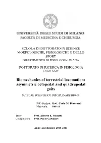 Biomechanics of Terrestrial Locomotion: Asymmetric Octopedal and Quadrupedal Gaits
