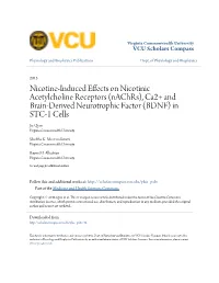 Ca2+ and Brain-Derived Neurotrophic Factor (BDNF) in STC-1 Cells Jie Qian Virginia Commonwealth University