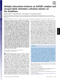 Multiple Interactions Between an Arf/GEF Complex and Charged Lipids Determine Activation Kinetics on the Membrane