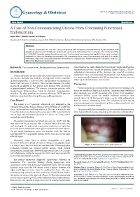 A Case of Non-Communicating Uterine Horn Containing Functional Endometrium