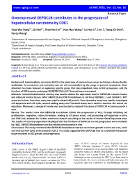 Overexpressed DEPDC1B Contributes to the Progression of Hepatocellular Carcinoma by CDK1