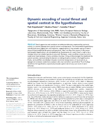 Dynamic Encoding of Social Threat and Spatial Context in the Hypothalamus Piotr Krzywkowski1,2, Beatrice Penna1,3, Cornelius T Gross1*