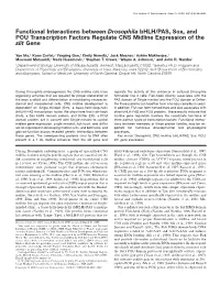 Functional Interactions Between Drosophilabhlh/PAS, Sox, and POU Transcription Factors Regulate CNS Midline Expression of the Sl