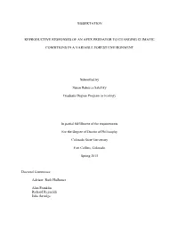 Reproductive Responses of an Apex Predator to Changing Climatic