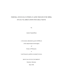 Temporal and Spatial Patterns at Alpine Treeline in the Sierra