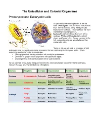The Unicellular and Colonial Organisms Prokaryotic And