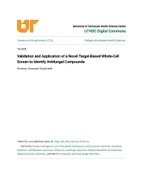 Validation and Application of a Novel Target-Based Whole-Cell Screen to Identify Antifungal Compounds