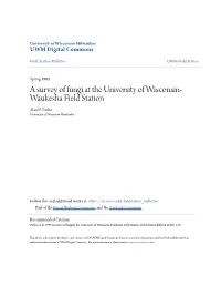 A Survey of Fungi at the University of Wisconsin-Waukesha Field Station