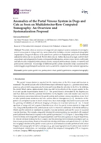 Anomalies of the Portal Venous System in Dogs and Cats As Seen on Multidetector-Row Computed Tomography: an Overview and Systematization Proposal