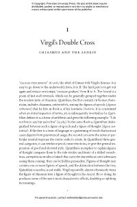 Virgil`S Double Cross Design and Meaning in the Aeneid