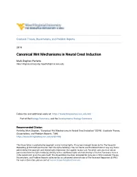 Canonical Wnt Mechanisms in Neural Crest Induction