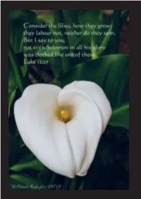 April 2016 Issue 240 2 the Messages of Love