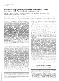 Caspase-3 Controls Both Cytoplasmic and Nuclear Events Associated with Fas-Mediated Apoptosis in Vivo