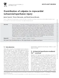 Contribution of Calpains to Myocardial Ischaemia/Reperfusion Injury