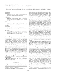 Molecular and Morphological Characterization of Pyricularia and Allied Genera
