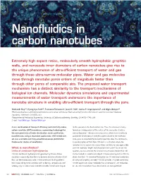 Nanofluidics in Carbon Nanotubes