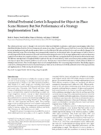 Orbital Prefrontal Cortex Is Required for Object-In-Place Scene Memory but Not Performance of a Strategy Implementation Task