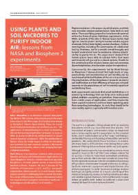Using Plants and Soil Microbes to Purify Indoor