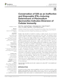 Conservation of S20 As an Ineffective and Disposable Ifnγ-Inducing Determinant of Plasmodium Sporozoites Indicates Diversion of Cellular Immunity