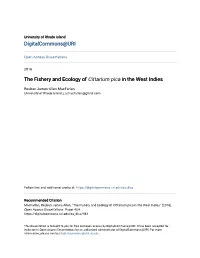 The Fishery and Ecology of Cittarium Pica in the West Indies
