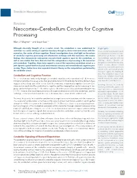 Neocortex-Cerebellum Circuits for Cognitive Processing