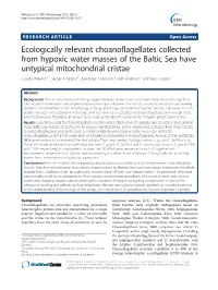 Ecologically Relevant Choanoflagellates Collected From