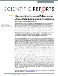 Optogenetic Neuronal Silencing in Drosophila During Visual Processing Alex S