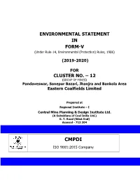 Environmental Statement in Form-V Cluster No. – 12