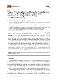 Magma Plumbing System of Emeishan Large Igneous Province at the End-Permian: Insights from Clinopyroxene Compositional Zoning and Thermobarometry