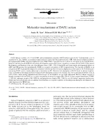 Molecular Mechanisms of DAX1 Action