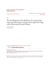 The Development and Validation of a Novel Canine Mucosal Endoscopic Scoring System Applied to Dogs with Inflammatory Bowel Disea