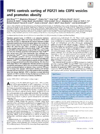 YIPF6 Controls Sorting of FGF21 Into COPII Vesicles and Promotes Obesity