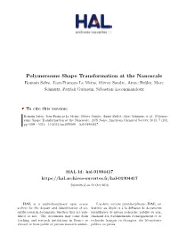 Polymersome Shape Transformation at the Nanoscale
