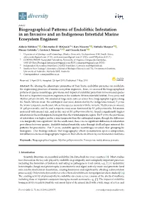 Biogeographical Patterns of Endolithic Infestation in an Invasive and an Indigenous Intertidal Marine Ecosystem Engineer