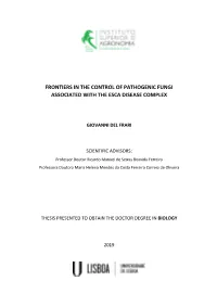 Frontiers in the Control of Pathogenic Fungi Associated with the Esca Disease Complex.Pdf