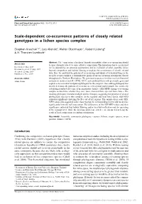 Scale-Dependent Co-Occurrence Patterns of Closely Related Genotypes in a Lichen Species Complex