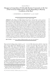 Changes in Composition of Culturable Bacteria Community in the Gut of the Formosan Subterranean Termite Depending on Rearing Conditions of the Host