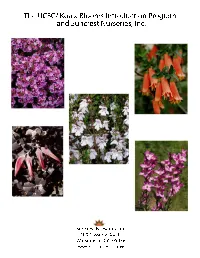 The Koala Blooms Introduction Program