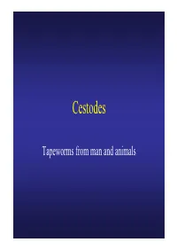 Cestodes.Pdf