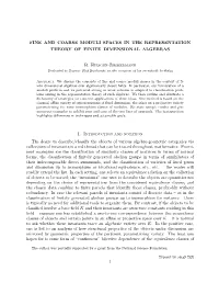Fine and Coarse Moduli Spaces in the Representation Theory of Finite Dimensional Algebras