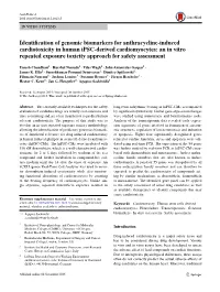 Identification of Genomic Biomarkers for Anthracycline
