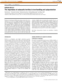 The Importance of Eukaryotic Ferritins in Iron Handling and Cytoprotection