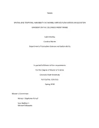 Thesis Spatial and Temporal Variability in Channel