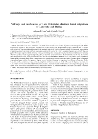 Pathways and Mechanisms of Late Ordovician (Katian) Faunal Migrations of Laurentia and Baltica