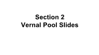Section 2 Vernal Pool Slides Vernal Pools by Ava, Si, Leighton,And Cindy What Is a Vernal Pool?