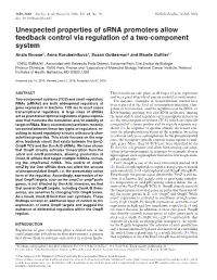 Unexpected Properties of Srna Promoters Allow Feedback Control