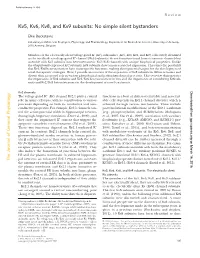 Kv5, Kv6, Kv8, and Kv9 Subunits: No Simple Silent Bystanders