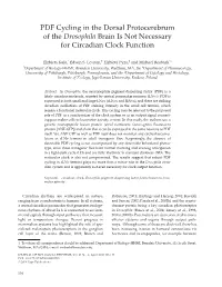 PDF Cycling in the Dorsal Protocerebrum of the Drosophila Brain Is Not Necessary for Circadian Clock Function