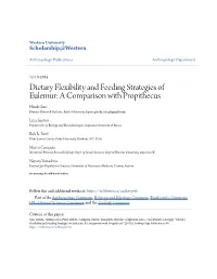 Dietary Flexibility and Feeding Strategies of Eulemur