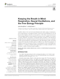 Respiration, Neural Oscillations, and the Free Energy Principle